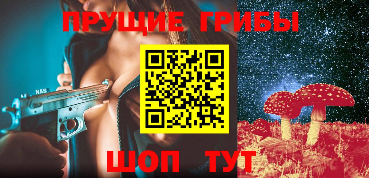 Псилоцибиновые грибы Psilocybe Верхний Уфалей